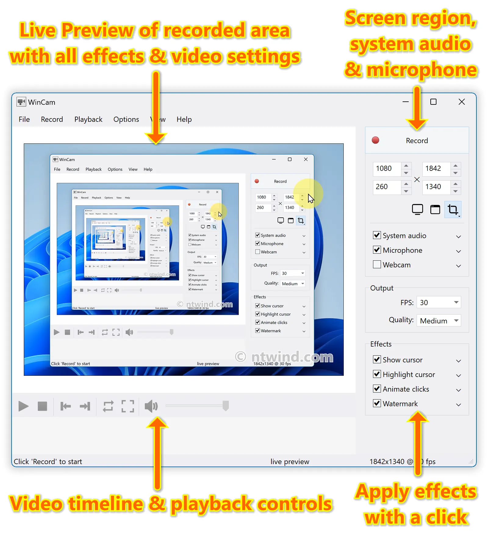 WinCam - Light Theme