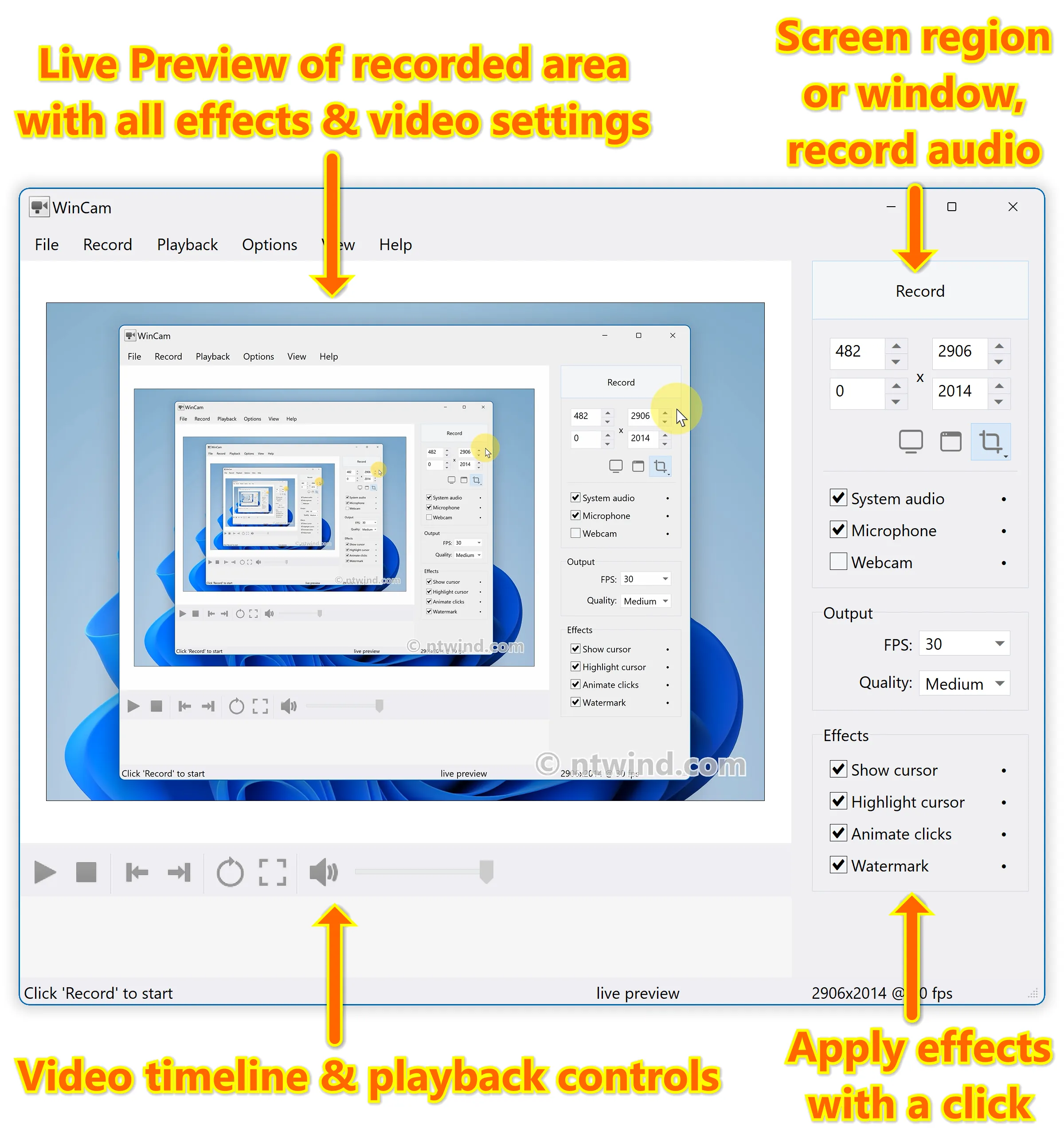 WinCam - Light Theme