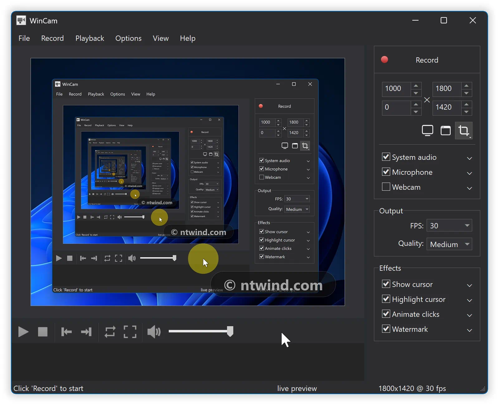 WinCam 4 - Main Window
