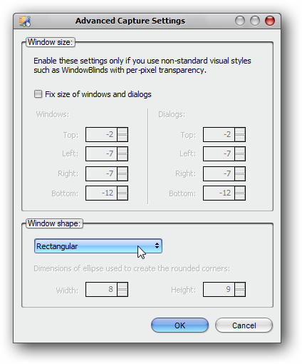 WinSnap Advanced Settings - WindowsBlinds Leo Style