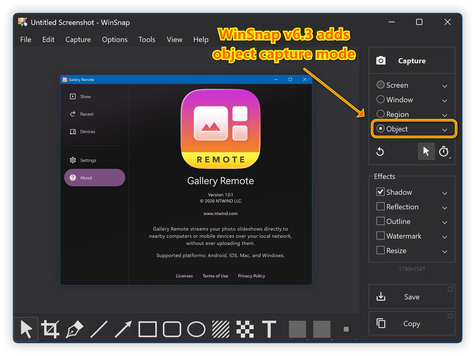 WinSnap v6.3 - Object Capture Mode